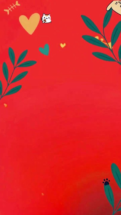 Cat Food Online in Karachi by Billi Treats | Healthy Fish Fantasy Cat Treat