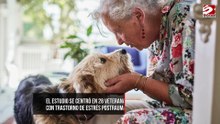 Pasar tiempo con perros retrasa el envejecimiento femenino