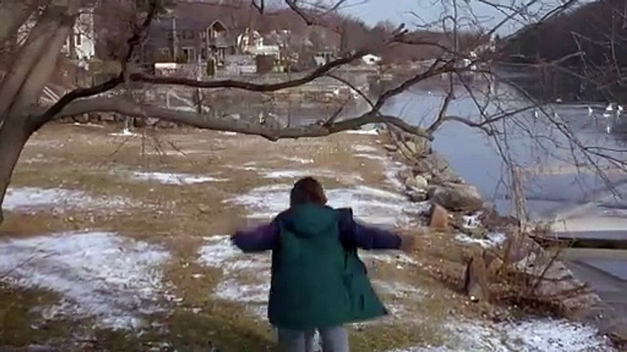 Das zweite Gesicht (1993)