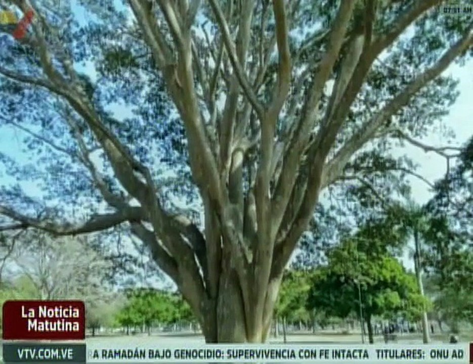 Barquisimetanos disfrutan la experiencia natura...