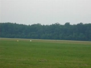 un rafale, le 31.05.2008 a la ferté alais