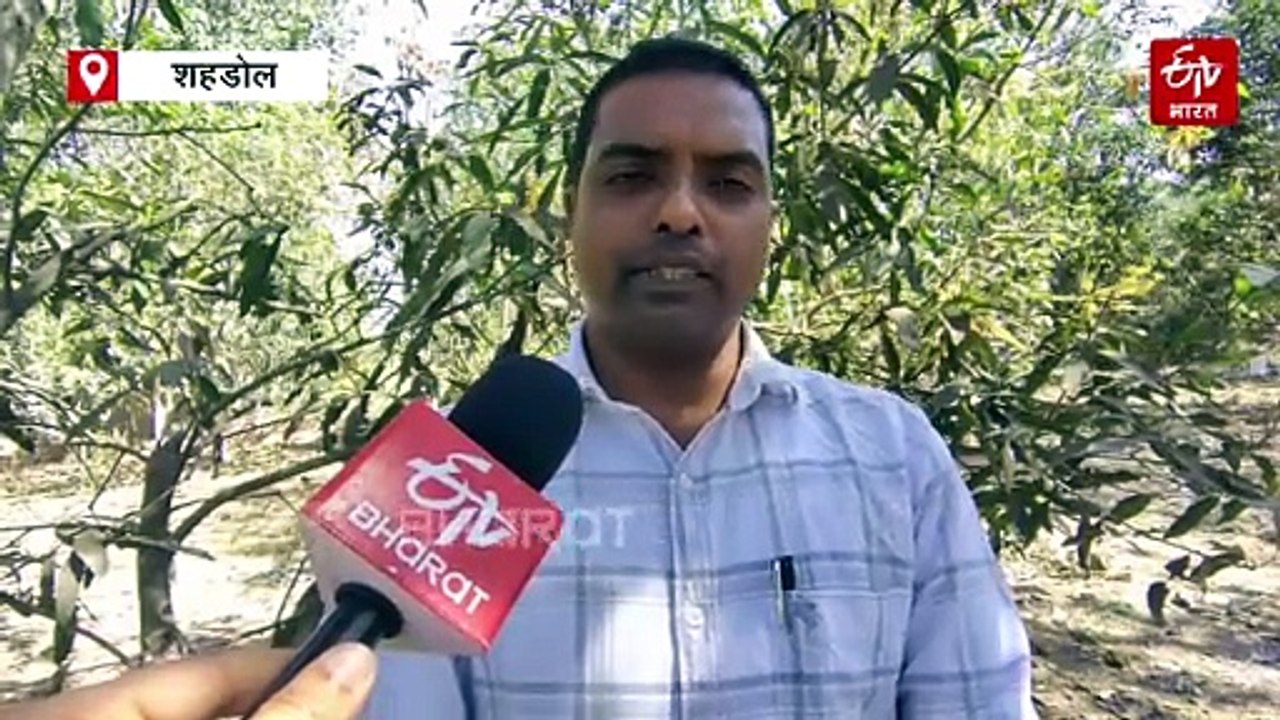 सूरजमुखी की खेती कर देगी मालामाल, बस जान लें इस खास खेती का सही तरीका