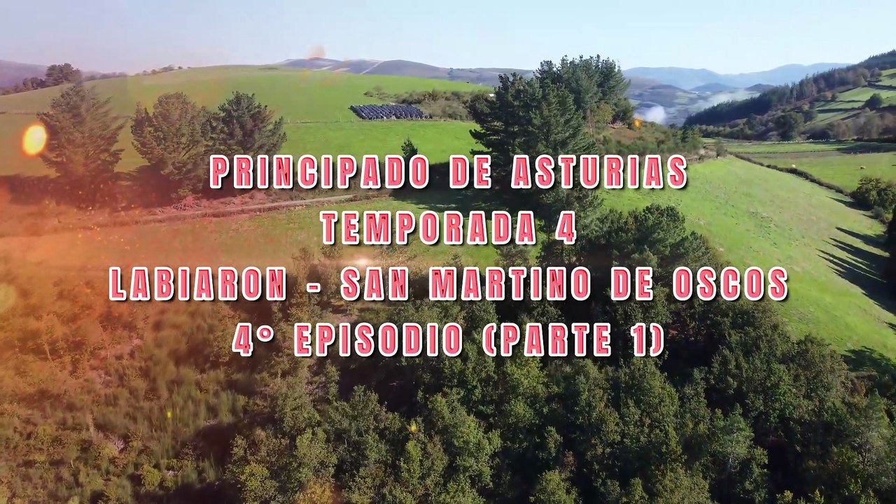 🌄Labiaron Una Distesa Di Colline Verdeggianti E Boschi Infiniti 🌲 #4 (P.te 1)