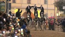 SARTIGLIA 2024 - Sintesi Gremio dei Falegnami