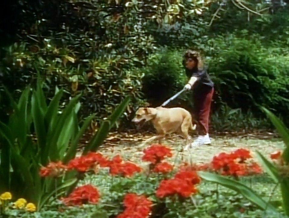 Cats (1986)