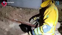 Los bomberos rescatan a un caballo tras caer a un pozo ciego en Pinoso (Alicante)