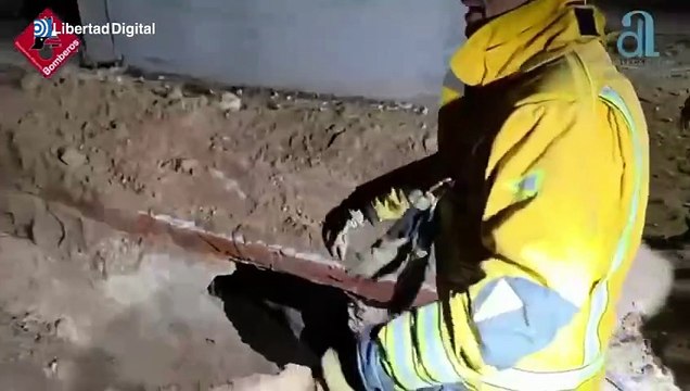 Los bomberos rescatan a un caballo tras caer a un pozo ciego en Pinoso (Alicante)