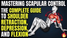 Mastering Scapular Control: The Complete Guide to Exercises for Shoulder Retraction, Depression, and Flexion