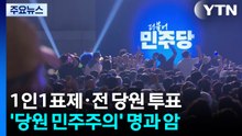 1인1표제부터 전 당원 투표까지...'당원 민주주의'의 명과 암  / YTN