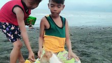 Beach Fun: Kids Playing and Running with Their Cute Puppy! 🏖️🐶