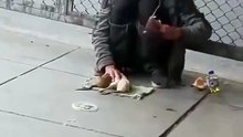 A person who lives on the street has rats as pets and teaches them tricks as if they were dogs