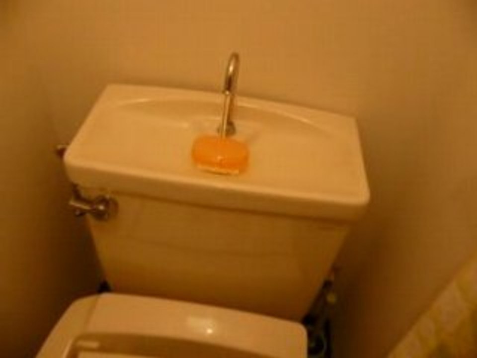 Toilettes japonaises