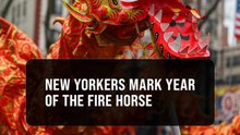 New Yorkers ring in Year of the Fire Horse with annual firecracker celebration