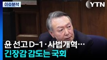 윤 선고 D-1 국회 긴장감...여야, '부동산 설전'에 대통령도 참여 / YTN
