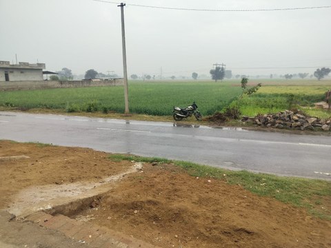 अलवर में बदला मौसम: हल्की बारिश से बढ़ी किसानों की चिंता, सरसों की फसल पर संकट के बादल