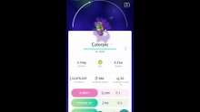 Pokémon GO-Purifying Shadow Caterpie