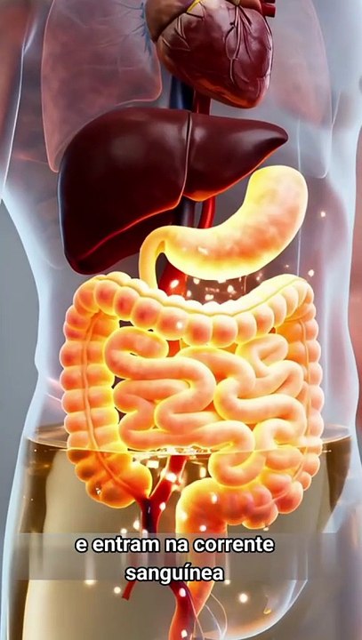 What Happens Inside Your Body When You Drink Alcohol ? | 3D Anatomy Explained