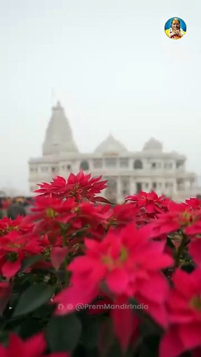 Radha Krishna Mandir Vrindavan | Prem Mandir