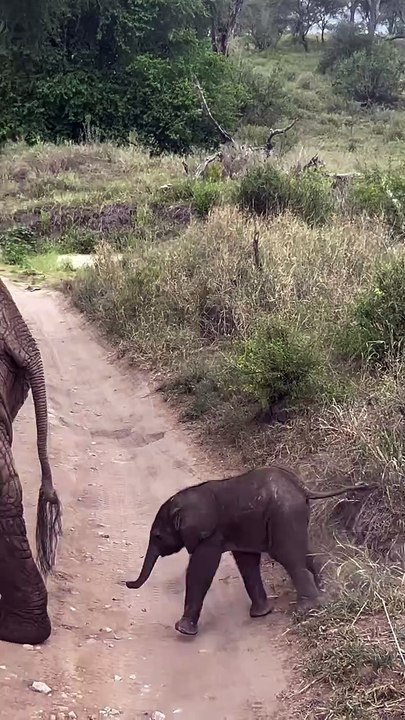 Aurélie Casse en vacances en Tanzanie.