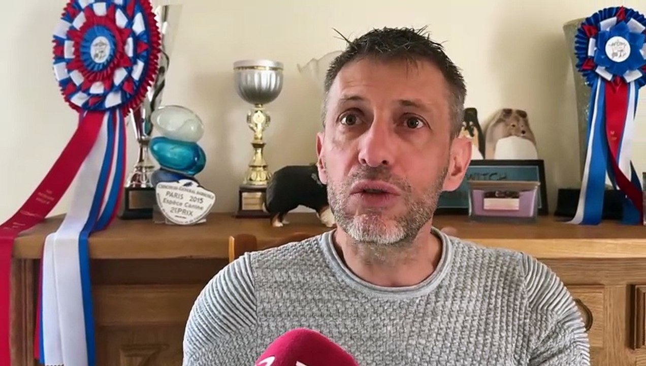 Salon de l’agriculture : les chiens aussi ont leur concours de beauté