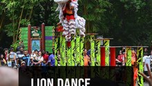 Zoo Negara brings Lunar New Year to life with spectacular lion dance