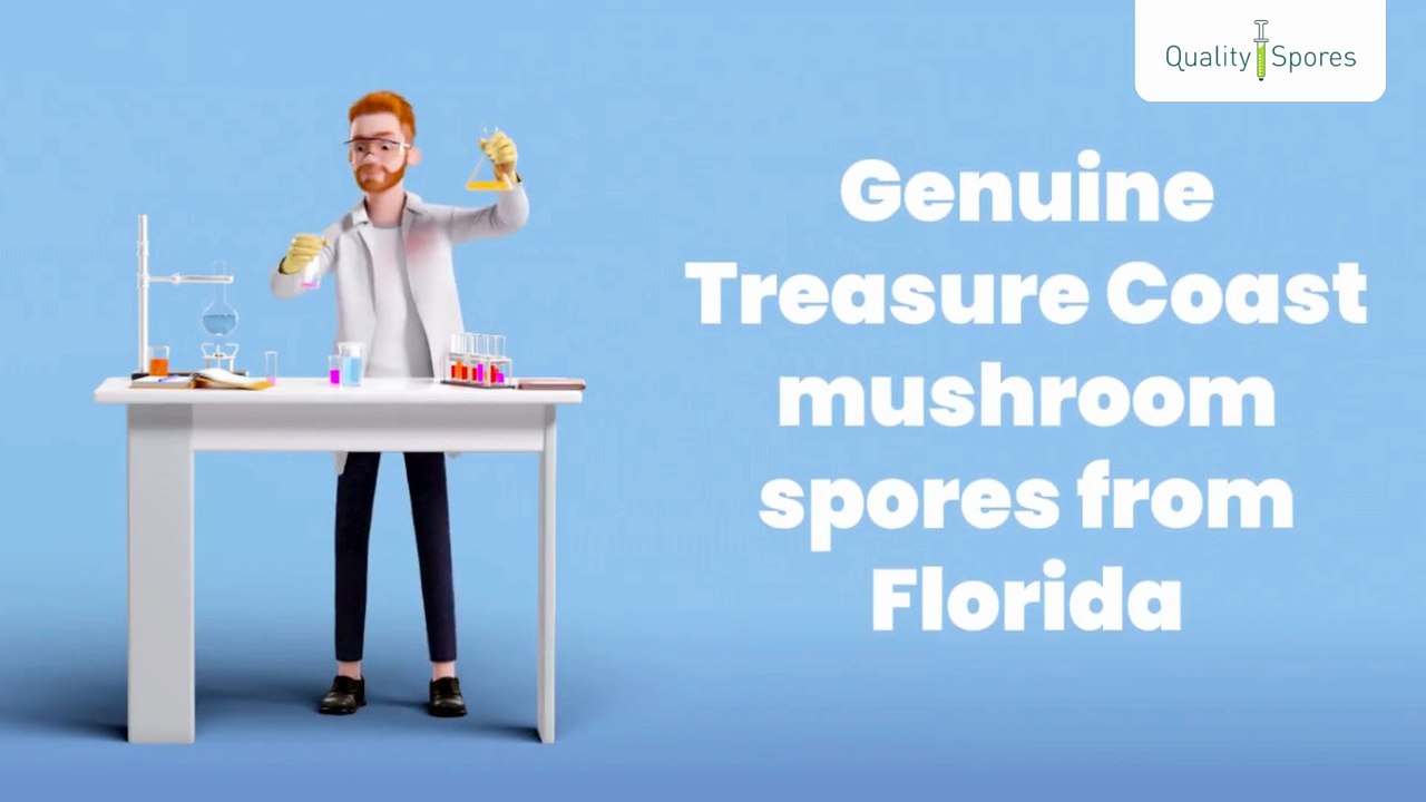 Buy Treasure Coast Cubensis Spores | Authentic Spore Syringes for Research