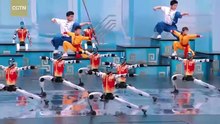 Acrobacias de fazer inveja! Robôs praticam kung fu na China (e há vídeo)