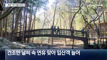 담배꽁초 하나 때문에?…하루 동안 산불 6건