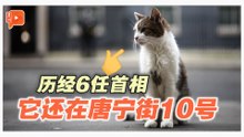 从鼠患救星到政坛象征 拉里15年“见证”英国风云变幻