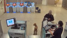 Traveler arrested for ditching 2-year-old pup to board plane at Harry Reid International Airport
