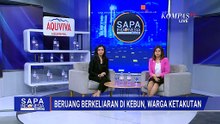 Seekor Beruang Berkeliaran di Perkebunan, Warga Resah dan Ketakutan | SAPA MALAM