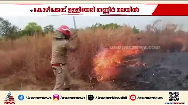 ഉള്ളിയേരി തണ്ണീര്‍ മലയില്‍ അടിക്കാടിന് തീപിടിച്ചു; ഫയർഫോഴ്‌സും നാട്ടുകാരും ചേർന്ന് തീ അണച്ചു