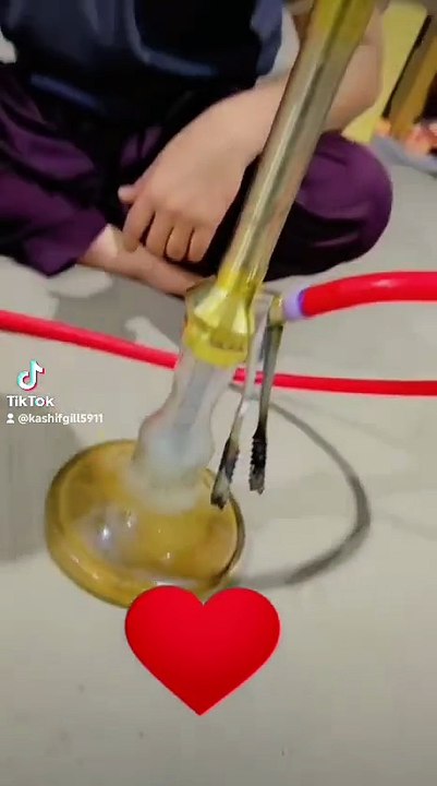VID-20260129-WA0079