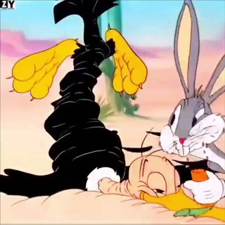 Cartoon videos