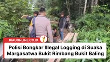 Polisi Bongkar Illegal Logging di Suaka Margasatwa Bukit Rimbang Bukit Baling