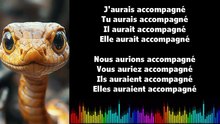 ♫ Apprendre la conjugaison en chantant ♫  I ACCOMPAGNER I Conditionnel Passé_