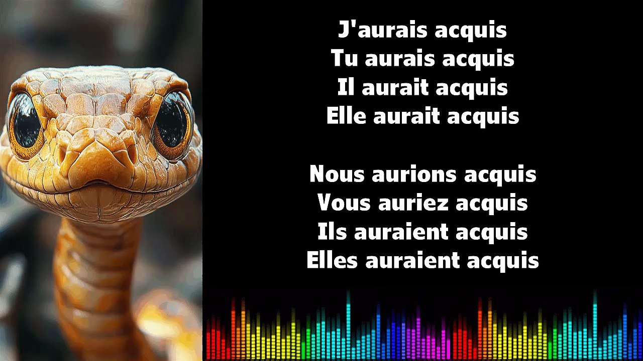♫ Apprendre la conjugaison en chantant ♫  I ACQUÉRIR I Conditionnel Passé_