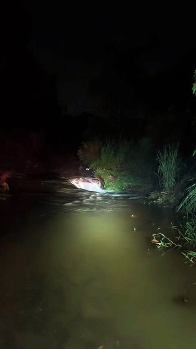 Casal escapa de afogamento após carro ser levado por correnteza em Criciúma