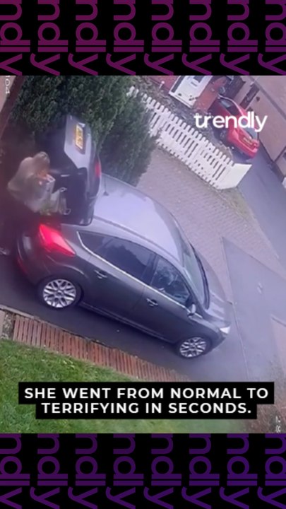 Girl Falls In A Blink After Successfully Loading The Car Boot
