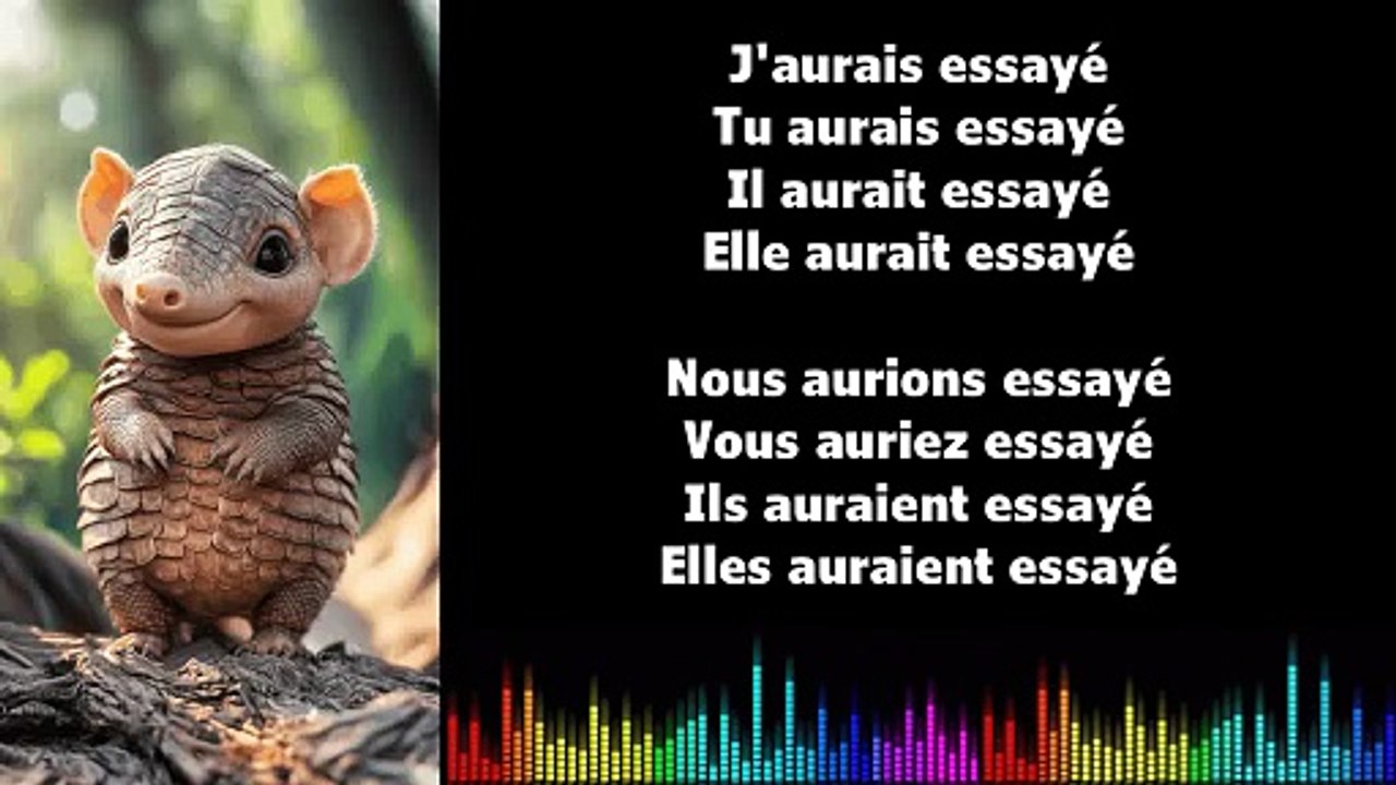 ♫ Apprendre la conjugaison en chantant ♫  I ESSAYER I Conditionnel Passé_