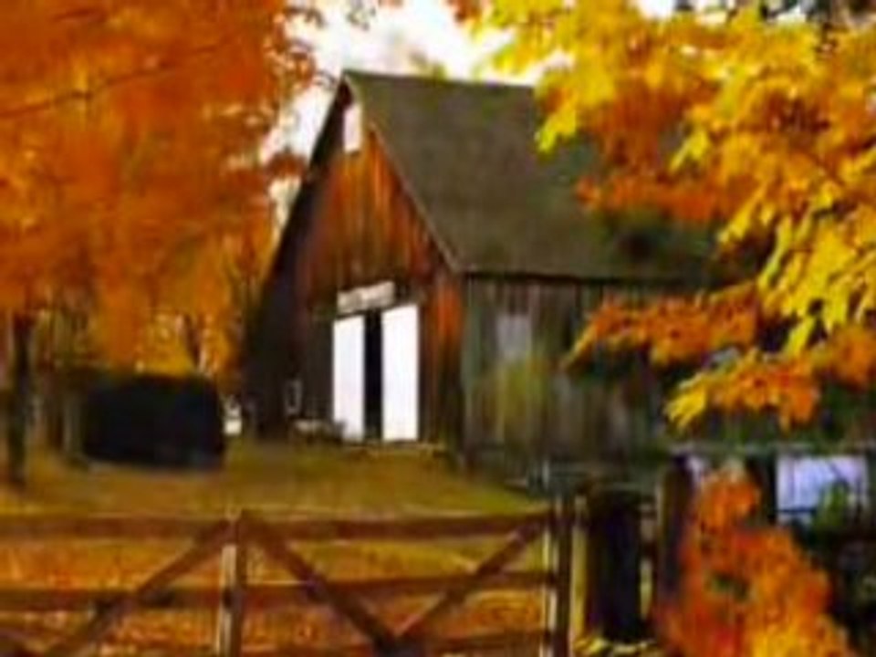 Soner Arica-Yuregime Ektim Seni