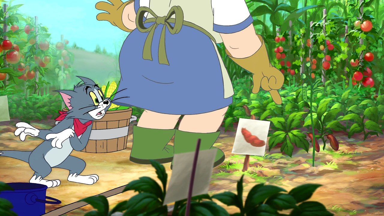 Tom And Jerry Episode Summer Squashing