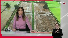 Noticias de Navarra 14.30h 18/02/2026 Lengua de Signos