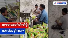Poha Packaging Viral Video: नाश्त्यातील पोहे किती सुरक्षित? पॅकेजिंग पाहून उघडतील डोळे