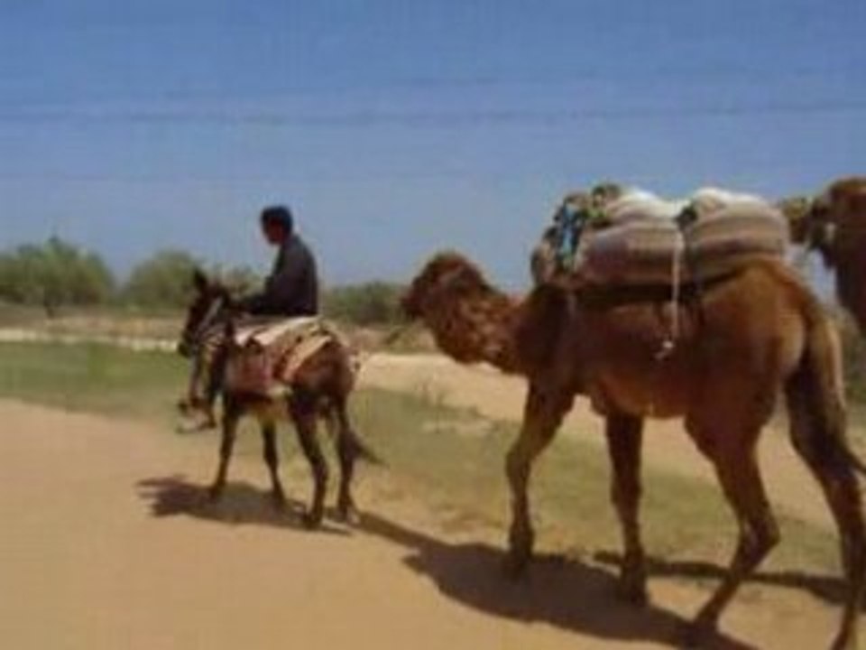VIDEO TUNISIE (19)