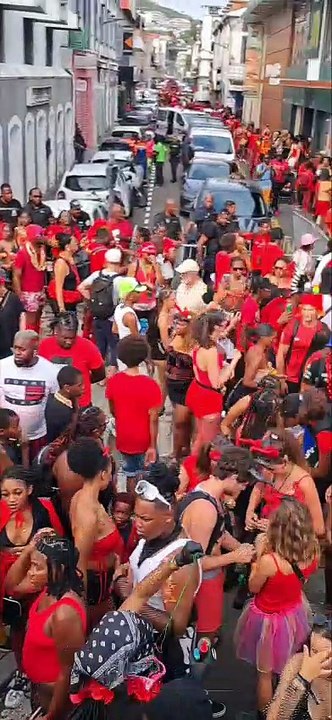 [MARTINIQUE] L’ambiance derrière le char MacDo France-Antilles Trace 17-02-26