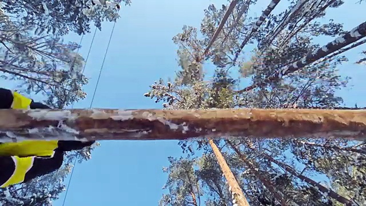 Making Snow Fall in the Forest