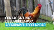 La familia no da crédito: el niño de 6 años que emprendió con las gallinas de su abuela para asegurar su escolaridad