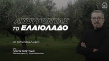 Γιώργος Τζωρτζίνης: «Οι νέοι αγρότες θα πρέπει να βοηθηθούν από το κράτος»