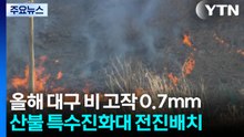 대구 비 고작 0.7mm...산불 특수진화대 전진 배치 / YTN